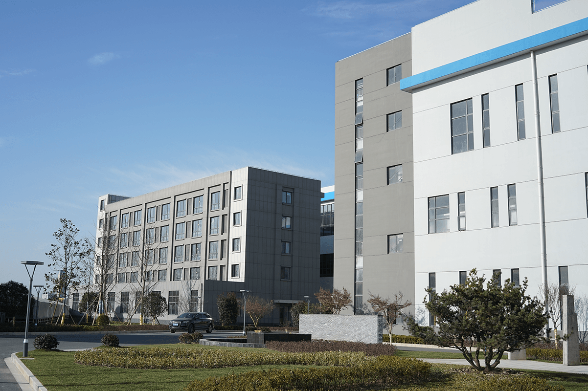 Warmly celebrate the company's new website revision into a company!